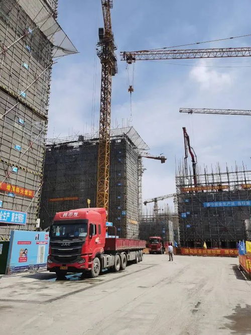 安置房建设 沪南公路改建......这个镇多个大型在建项目重回 正轨